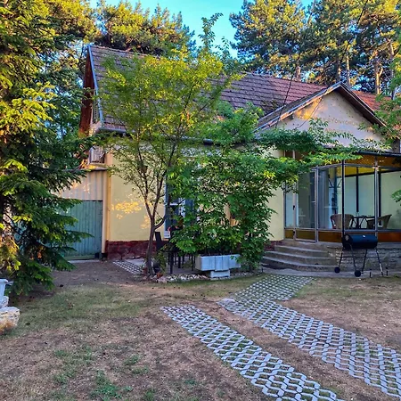 Arany Toboz Vendeghaz * Siófok