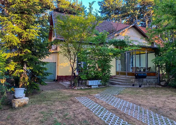 Arany Toboz Vendeghaz * שיופוק